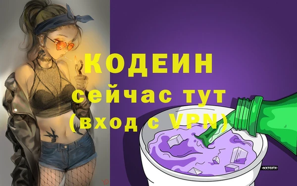 дурь Богданович
