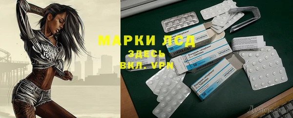 дурь Богданович
