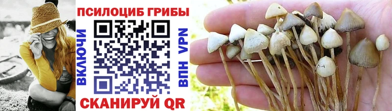 Галлюциногенные грибы ЛСД  продажа наркотиков  Самара 