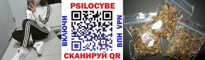 Галлюциногенные грибы MAGIC MUSHROOMS Самара